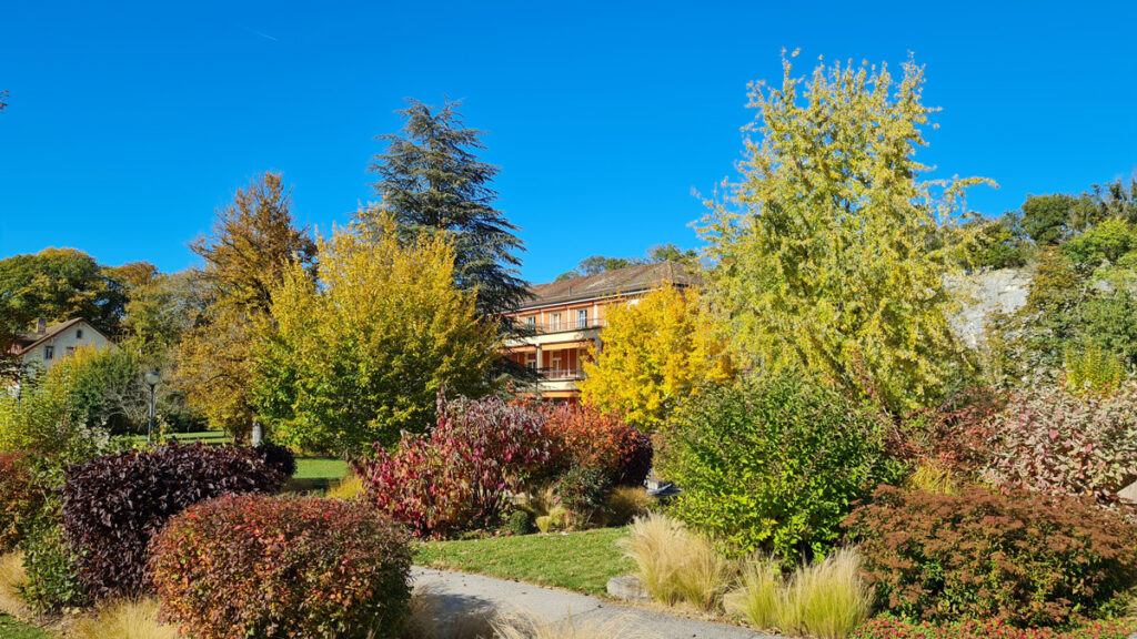 Automne à Saint-Loup