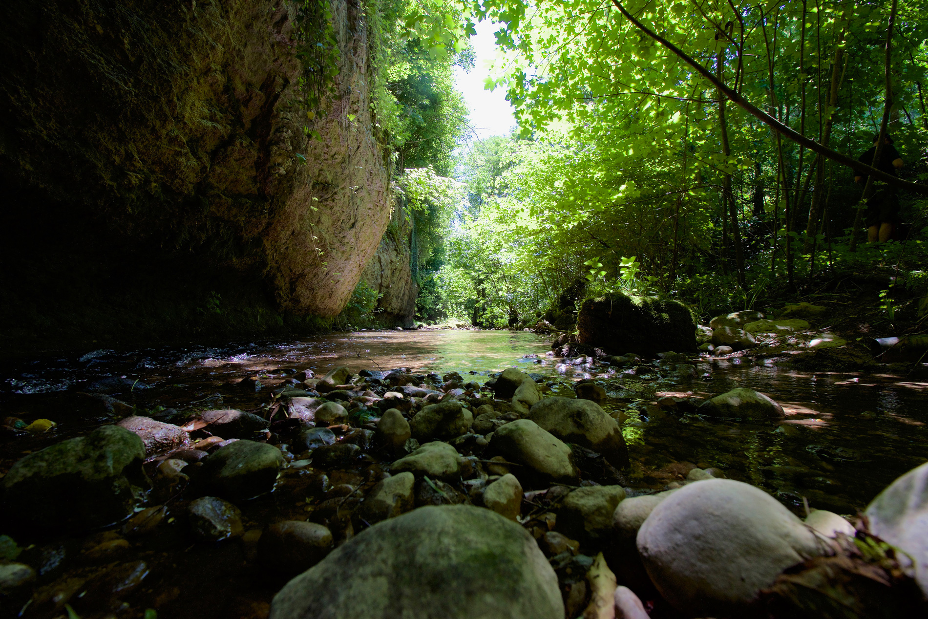 Canal d'Entreroches