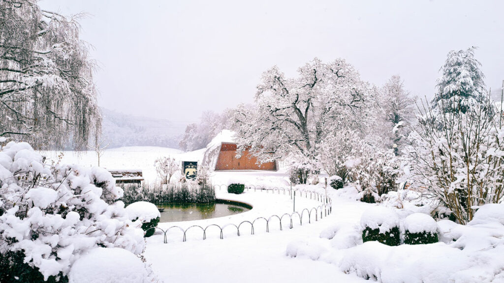 Noël Saint-Loup