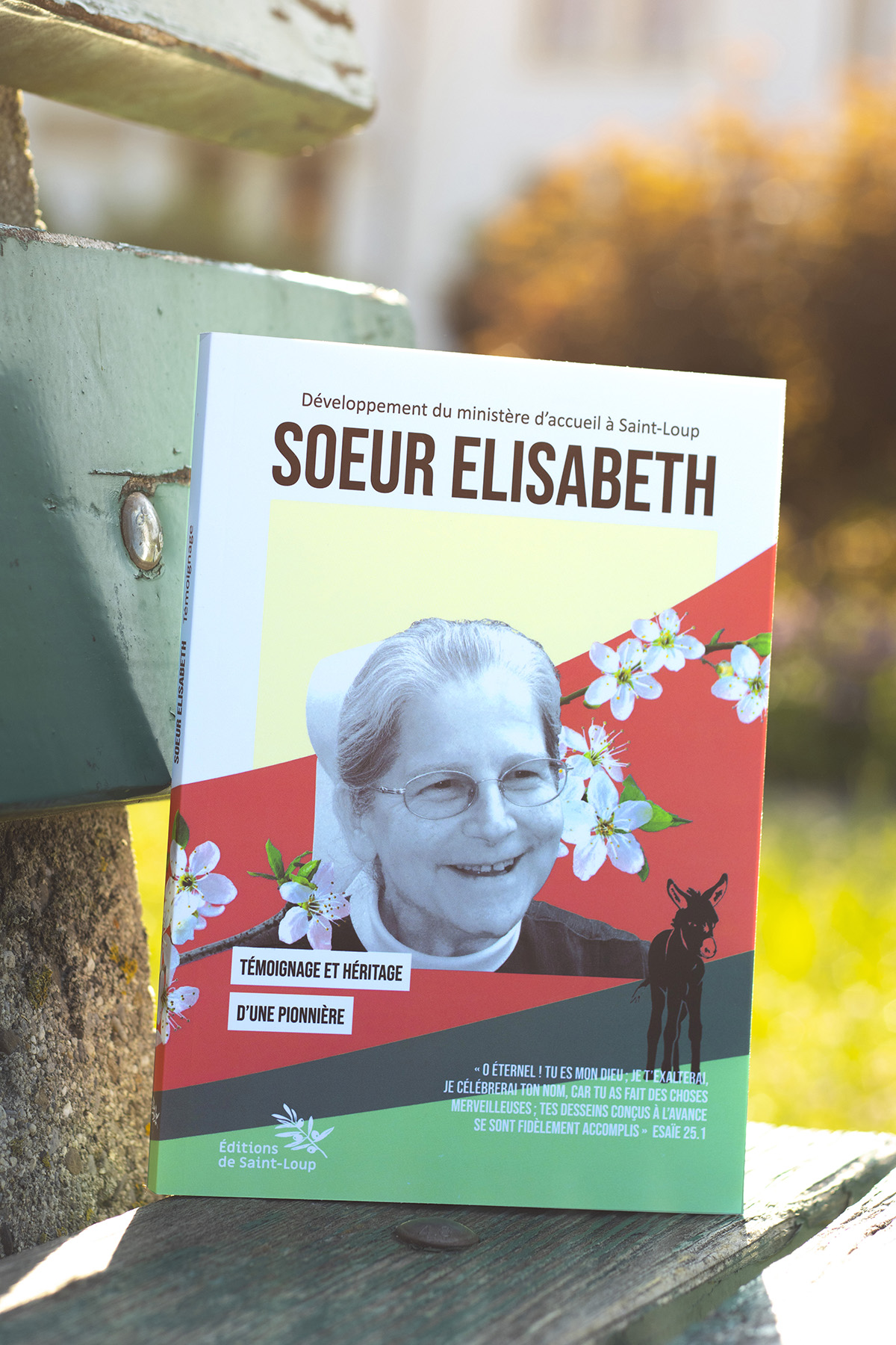 Livre Soeur Elisabeth aux éditions de Saint-Loup
